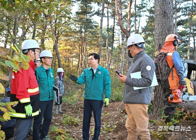 김광열 영덕군수, 소나무재선충병 방제 사업장 현장점검