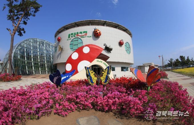 왕피천공원에서 곤충의 다양한 매력에 빠져 보아요~