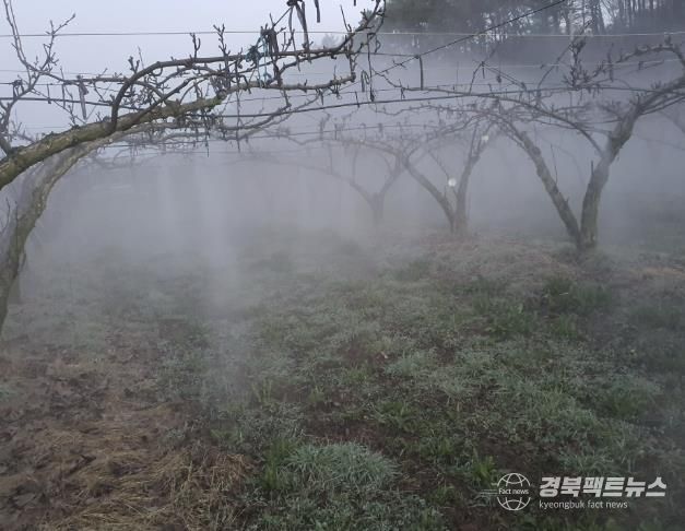 상주시, 온수를 활용한 과수 저온피해 방지 신기술 개발