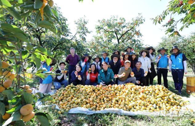 청도군, 전 공무원 농촌일손돕기 적극 참여
