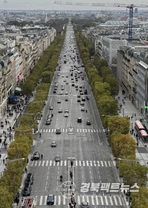파리 샹젤리제 거리. 가로수 디자인 전정된 사진.