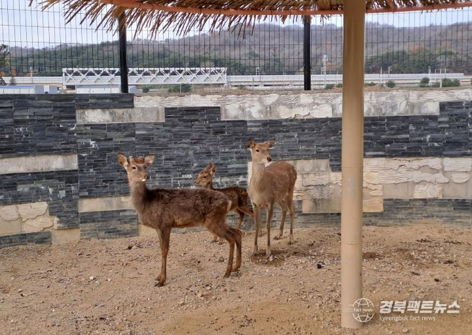 울진군 왕피천공원 동물농장