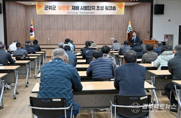 군위군, 골든볼 사과 재배 시범단지 조성 워크숍 개최