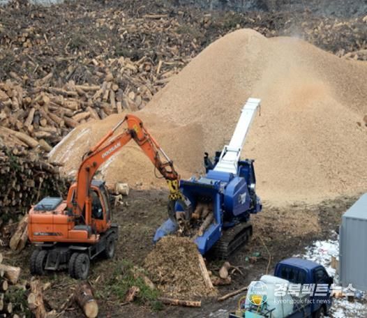 안동시, 소나무재선충 월동매개충 집중 방제