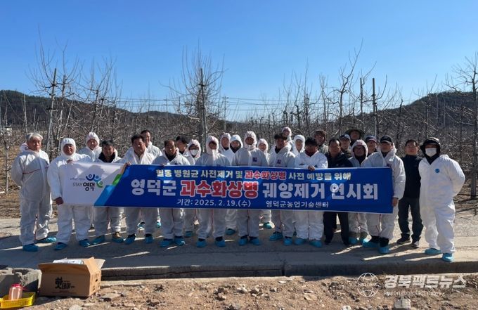 영덕군 과수화상병 궤양 제거 현장 연시회.