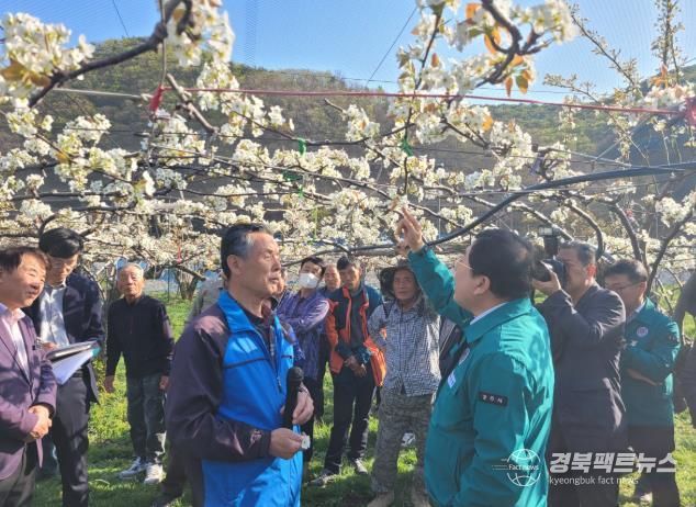 주낙영 경주시장이 지난 7일, 이상저온현상으로 피해가 발생한 현곡면 래태리를 방문해 현장을 점검하고 있다