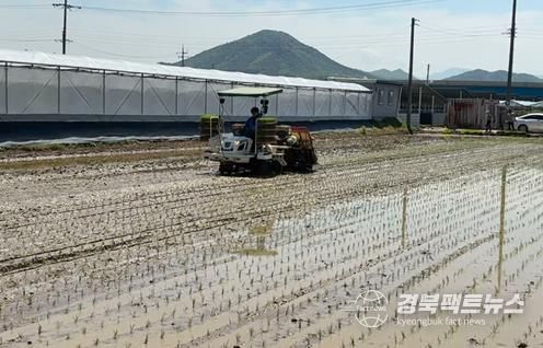경산시, 첫 모내기 실시로 고품질 쌀 생산 본격화