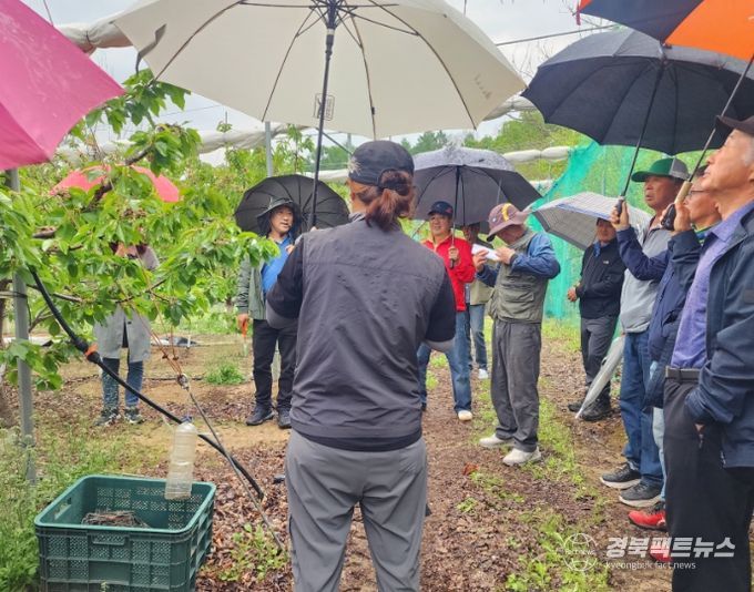 영주시농업기술센터, 체리현장전문가 과정