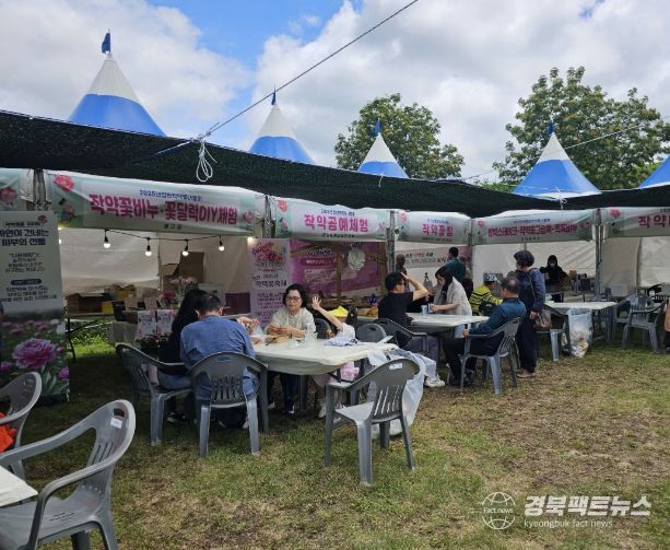 화북면 일원에서 열린 ‘작약꽃 나들이 행사’에 방문한 관람객들