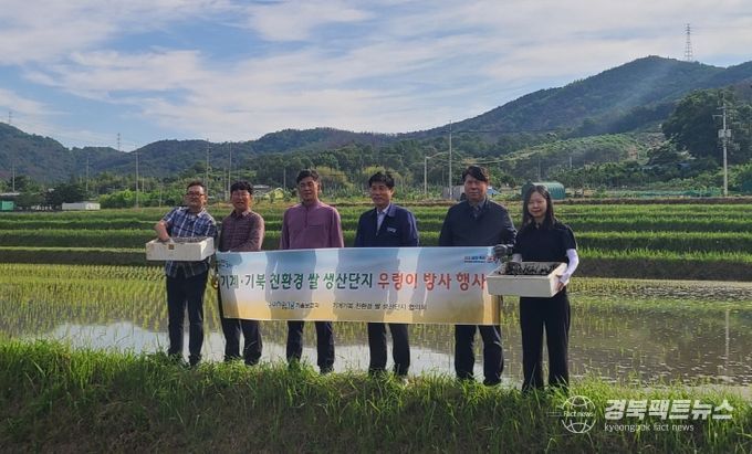 포항시는 11일 기계면 내단리에서 ‘친환경 쌀 단지 지속관리 시범사업’의 일환으로 우렁이 방사 행사를 진행했다.