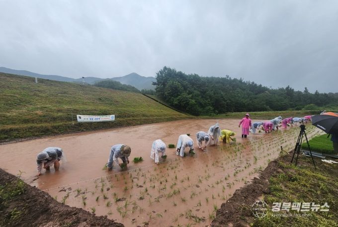 의성군제공 첫물내리기 행사