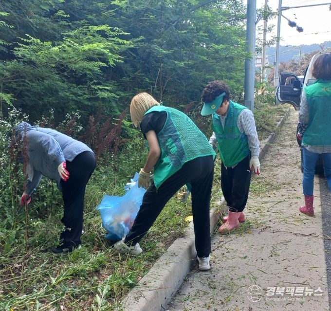 김천시 양금동 새마을협의회 연도변 풀베기 및 환경정비