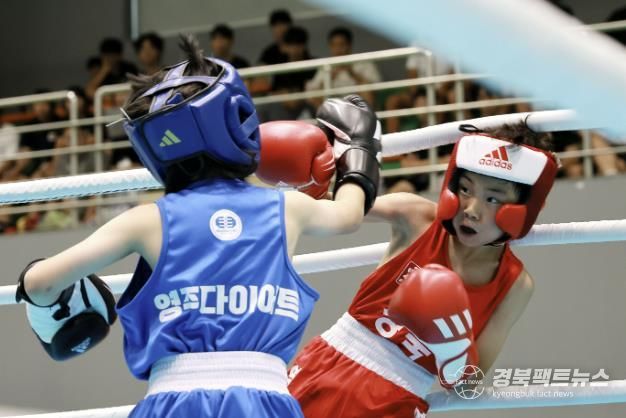 예천군, 2025 예천석송령배 경북생활체육 복싱대회 개최
