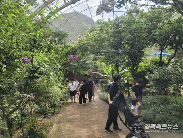 2025 예천곤충페스티벌, 한여름의 축제 성황리에 마쳐