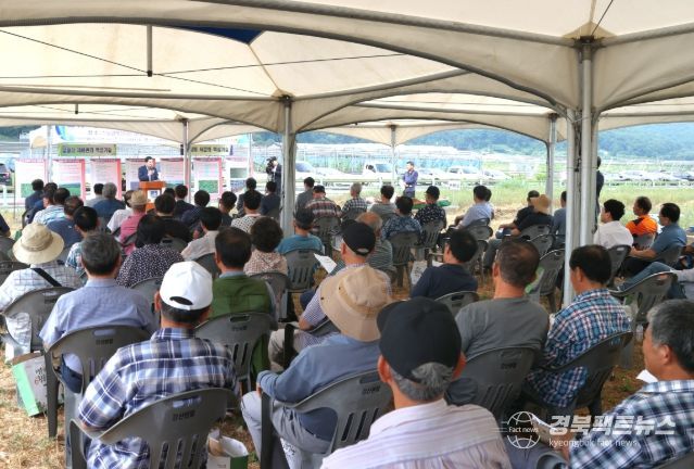 경주시, 알팔파 자급화