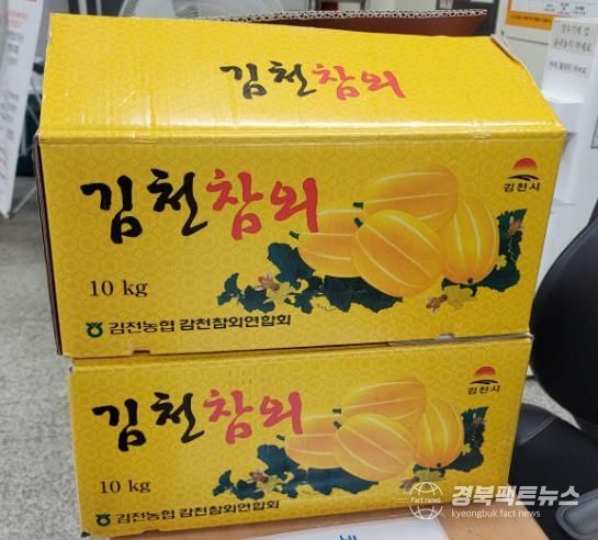 감천면, 김천시 최대 참외 주산지 위상 이어간다