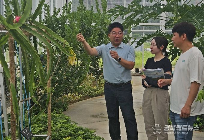 경주시 자매도시 일본 우사시청 소속 교류공무원 다카야마 아야노 씨(가운데)가 3일 경주시 농업기술센터를 방문해 관계자로부터 열대작물 재배 기술을 설명 듣고 있다.