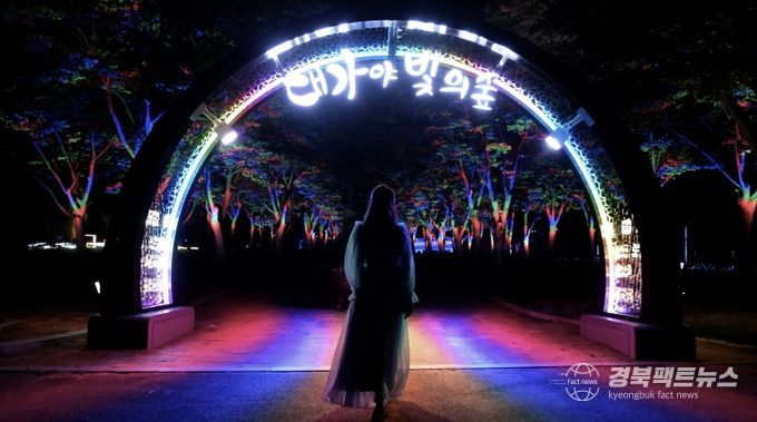 『고령의 밤하늘을 수놓는 별빛과도 같은 아름다움』-대가야 수목원 야간경관 관광 명소로 거듭나