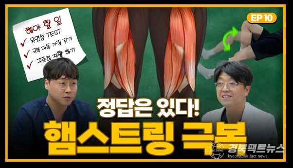 KBO 의무위원회 유튜브