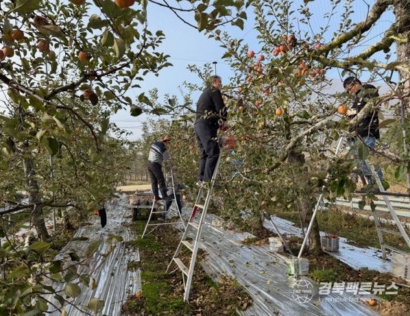 주택관리공단 대구경북지사, 농촌 일손돕기