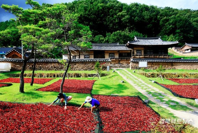 영양군, 작지만 강한 부자 농촌으로