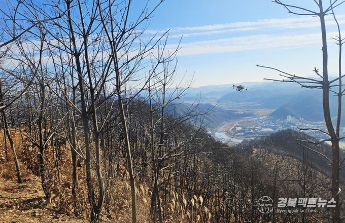 청송군, 산불피해지 대체작물조성 시범사업 시행