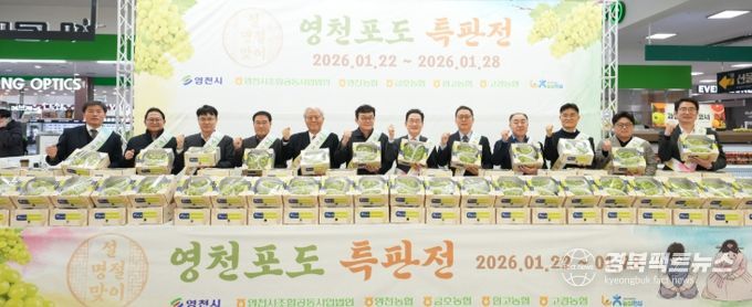 27일 시 관계자와 농협 관계자들이 하나로마트 양재점에 직접 방문해, 현장에서 영천포도 판촉활동을 펼치며 소비자 홍보에 나섰다.