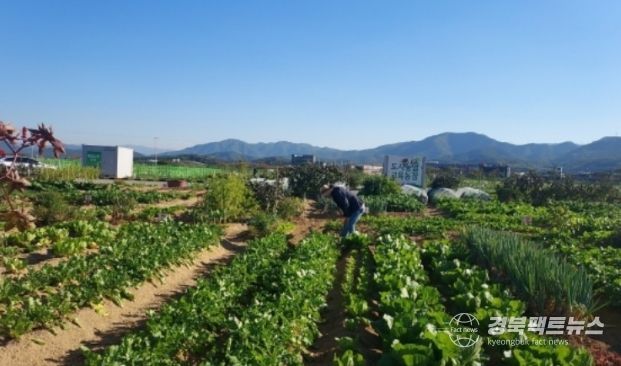 군위군, 텃밭에서 배우는 농업… 주말농장·주말농부학교 함께 연다.
