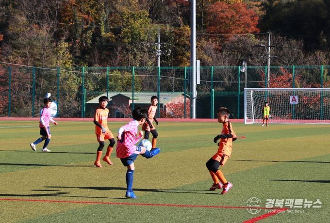 2026 백암온천배 전국 유소년 축구대회