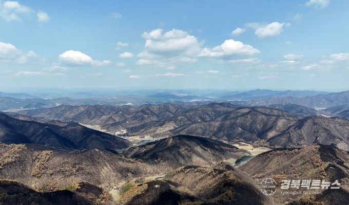 안동시, 산림투자선도지구 지정 추진으로 민간투자 유치 박차