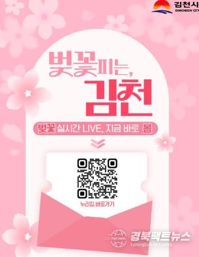 벚꽃피는 김천, 24시간 벚꽃 개화 상황 확인 가능