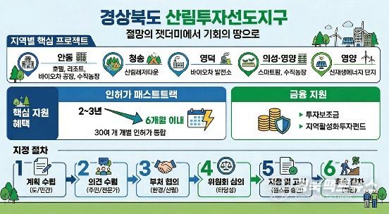 산불 피해지를 기회의 땅으로 산림투자선도지구 본격 가동