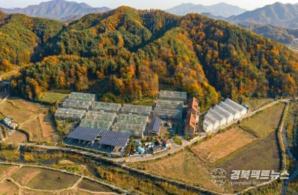 경북 영양군, 전국 최초 임산물 스마트팜 실증단지 선정